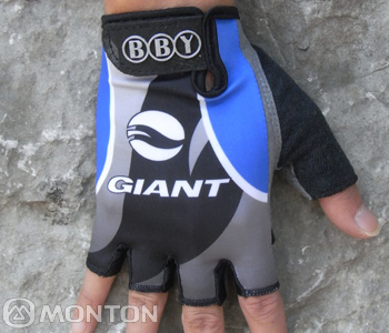 Handschoenen Giant 2012 zwart